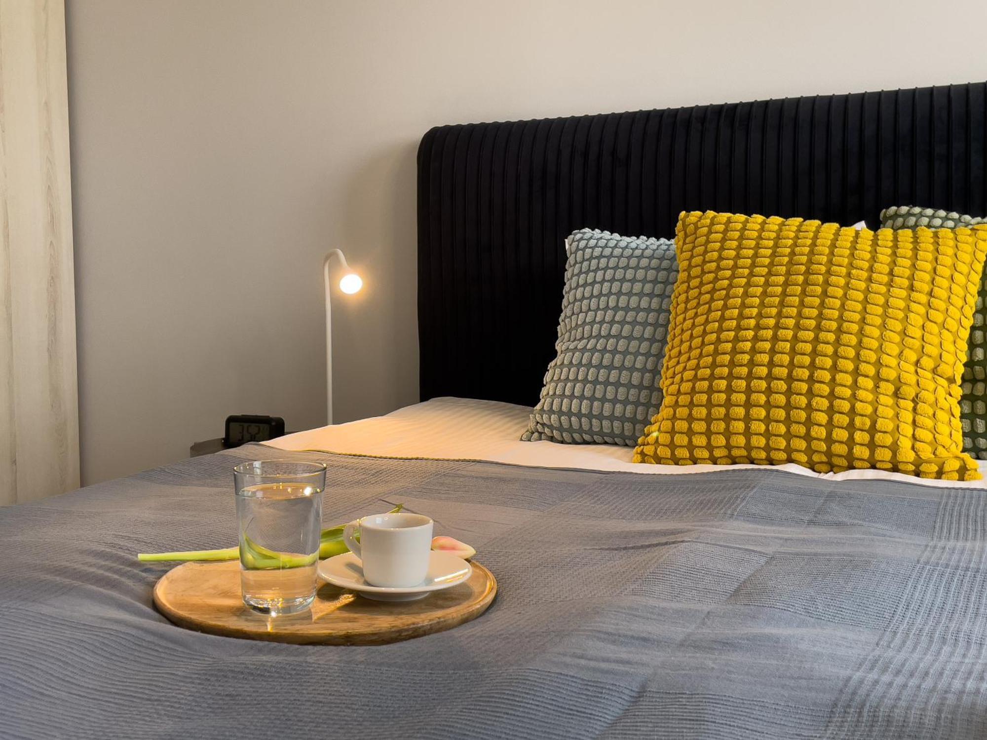 Urban Apartments Premium Baildona No 11 Free Garage, Self Check-In كاتوفيتسه المظهر الخارجي الصورة